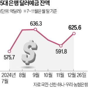 '안전자산' 달러예금 한 달 새 6% 급증