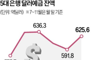 '안전자산' 달러예금 한 달 새 6% 급증