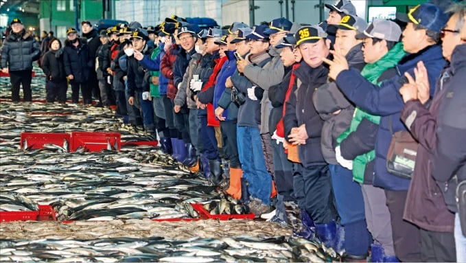 [포토] 부산공동어시장, 새해 첫 고등어 경매