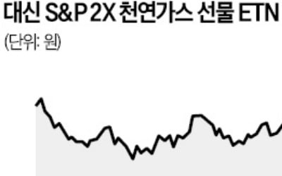 천연온라인바카라 ETN '불기둥'…한 달 수익률 30% 넘어