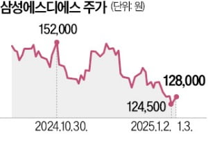 삼성SDS 주가 하락에…상장 앞둔 LG CNS 불안