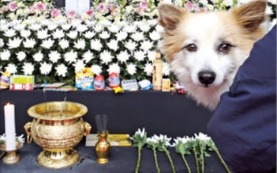 항공기 참사 애도기간 종료…시신 179구 모두 가족품으로