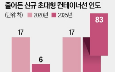 홍해 막히고 美中 갈등…제동 걸린 대형 컨선