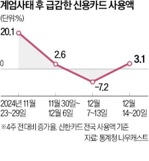 내수 절벽에…韓성장률 1.3%까지 추락 경고