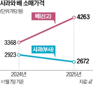 설 앞두고…사과값 내리고 배값은 치솟았다