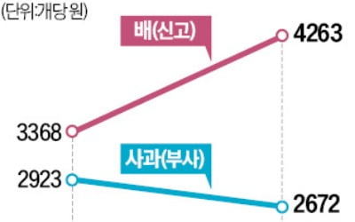 설 앞두고…사과값 내리고 배값은 치솟았다