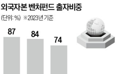 글로벌 VC 투자비중…인도 87%, 한국은 2%