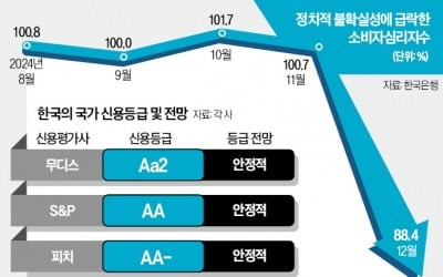 "韓 정치 혼란 길어지면 신용등급 하락 압박"