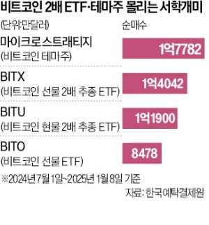 국내 투자 막히자…美 비트코인 테마주·파생상품 몰린 서학개미