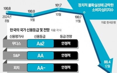 "한국 정치 혼란 길어지면 신용등급 하락 압박"