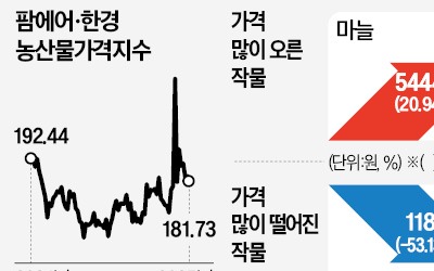 설 연휴 앞두고 배추·무값 2~3배로 급등