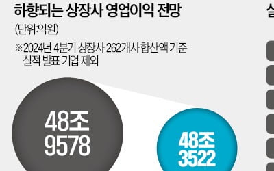 잔뜩 흐린 어닝시즌…"크래프톤·HD현대미포는 맑음"