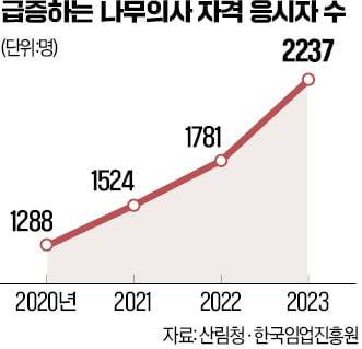 도시 숲을 돌보는 '나무 의사' 아시나요