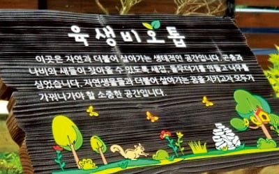 [홍성호 기자의 열려라! 우리말] '우리말빛' 살리기는 모두의 일