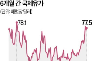 연초 고개 든 국제 유가…WTI 선물, 배럴당 80弗 육박