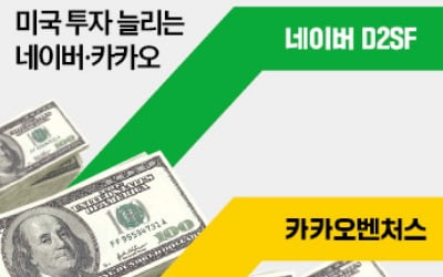 해외로 눈 돌린 네카오…"스타트업 카지노 양상수에 국경 없다"