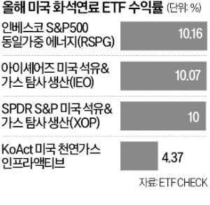 M7보다 짭짤…석유·가스 카지노 블랙잭 올 들어 10% 상승