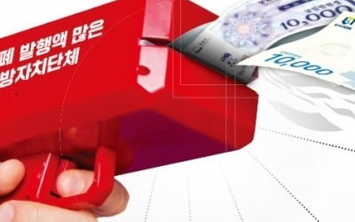 '부자 지자체' 앞다퉈 지역화폐 발행…옆동네 소비까지 빨아들여