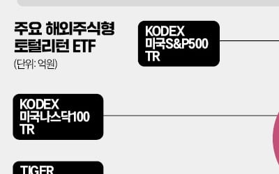 "배당 재투자 금지"…6조원 '해외주식 TR ETF' 사라진다