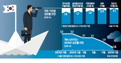 "올 온라인카지노추천률 1.6~1.7%…정치 불확실성이 0.2%P 낮춰"