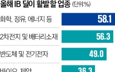 에코비트, 작년 M&A '최고의 딜'…최악은 고려아연