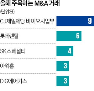 에코비트, 작년 M&A '최고의 딜'…최악은 가상 바카라