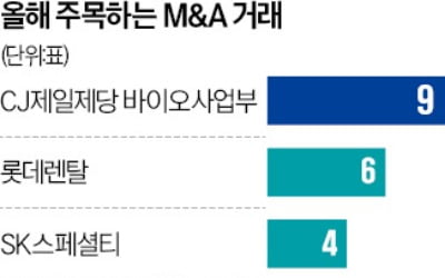 에코비트, 작년 M&A '최고의 딜'…최악은 고려아연