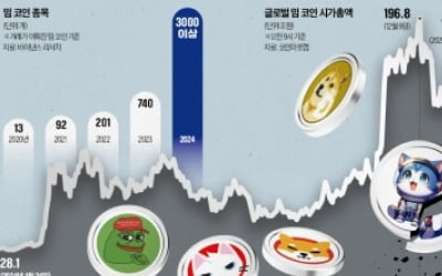 하루 수만개 쏟아지는 밈 코인…"97%는 휴지조각 전락"