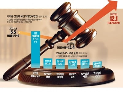 대형 로펌, 두자릿수 고성장