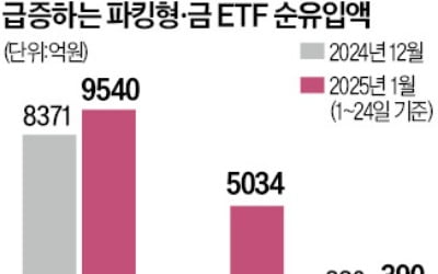 불확실성에 국내선 파킹형 ETF 인기