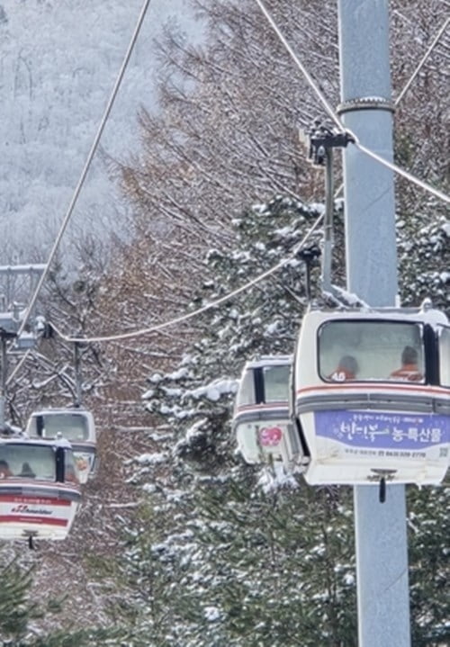 운행 중 멈춘 곤돌라…탑승객 공중서 '덜덜'