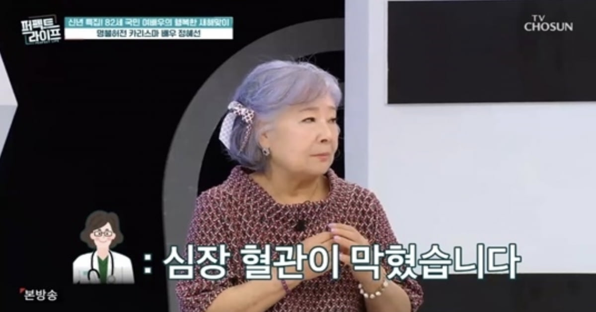 배우 정혜선/사진=TV조선 예능 프로그램 '퍼펙트라이프'