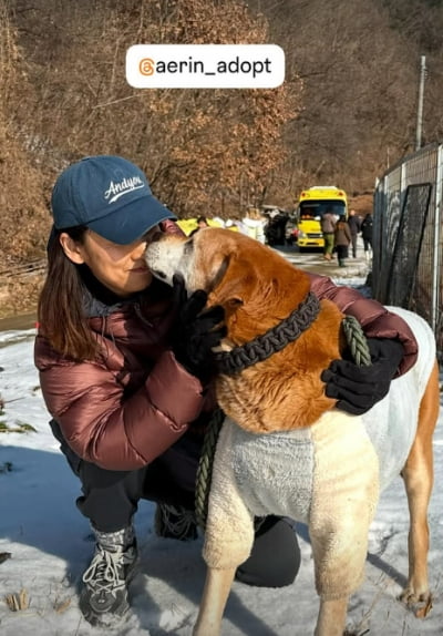 '60억 평창댁' 이효리, 또 도루묵 말리네…긴 설 연휴 어떻게 지내나 봤더니