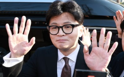 "한동훈, 죄짓고 도망친 것도 아니고…1월부터 행동 재개할 것"