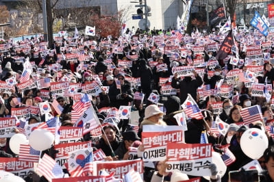 "급매 찾는 사람도 없다"…탄핵정국에 집주인·부동산 한숨