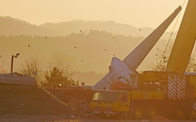 참사 유족들, 나흘 만에 사고 활주로 방문…"이제야 헌화"