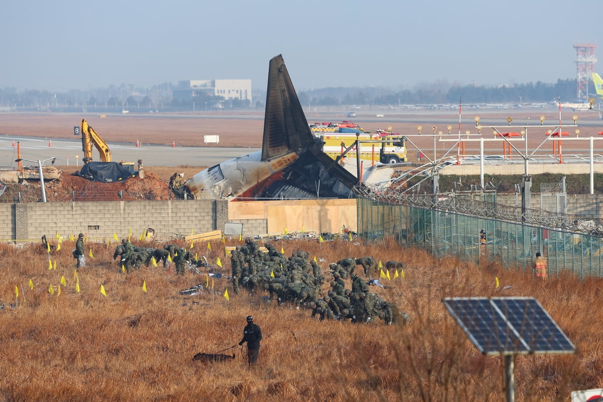 2일 오전 전남 무안군 무안국제공항 제주항공 여객기 참사 현장에서 군과 경찰특공대 병력들이 주변 수색을 하고 있다. 사진=연합뉴스