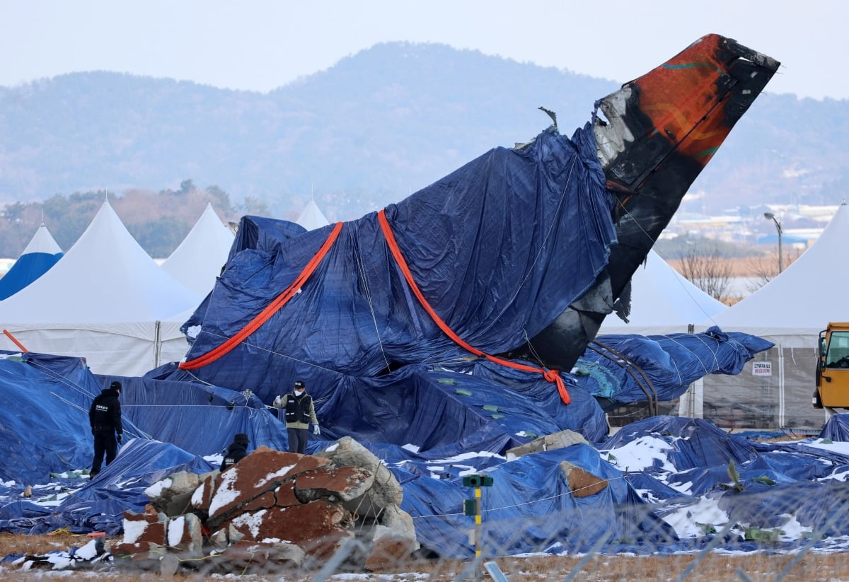 제주항공 여객기 참사 열흘째인 7일 전남 무안군 무안국제공항에서 항공철도사고조사위원회 관계자와 경찰특공대원이 사고 현장을 살피고 있다. /사진=연합뉴스