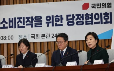 [속보] 당정 "중기 근로자 15만명에 국내여행비 40만원 지원"