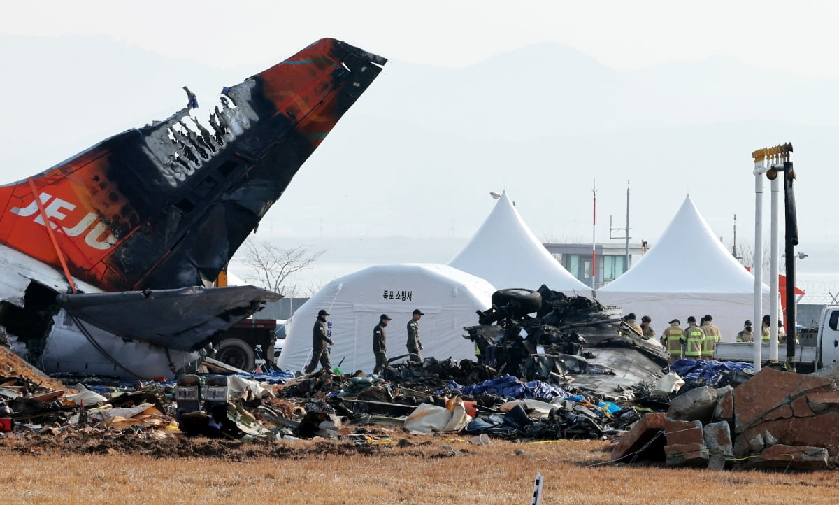 제주항공 여객기 참사 17일째인 14일 오전 전남 무안국제공항 사고 현장에서 수습 당국 관계자들이 수색 작업을 하고 있다./ 사진=연합뉴스