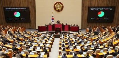 '외환' 뺀 野 '내란 특검법' 수정안 국회 본회의 통과