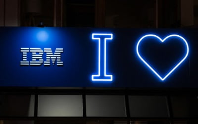 IBM "딥시크와 기술방향 같아…오류 수정에선 우리가 앞서"