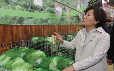 농식품장관 "배추·무 수급관리 총력…사재기·담합 강력처벌"