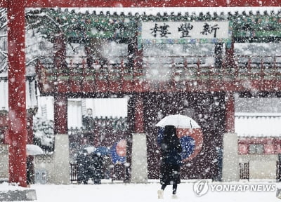 충청·전라·제주 중심으로 많은 눈…낮 최고 -3∼9도