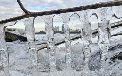 서울 전역 올겨울 첫 한파주의보…24시간 상황관리 돌입