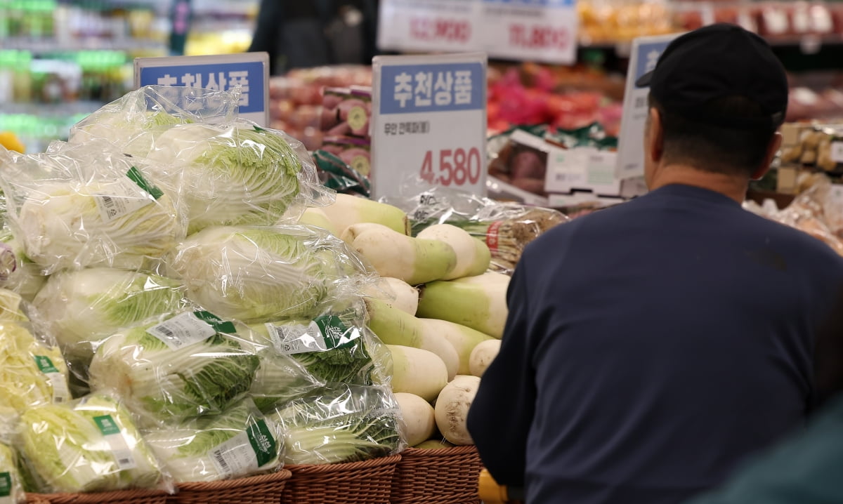 지난달 25일 서울 시내 한 대형마트에 배추와 무가 진열돼 있다. 사진=뉴스1