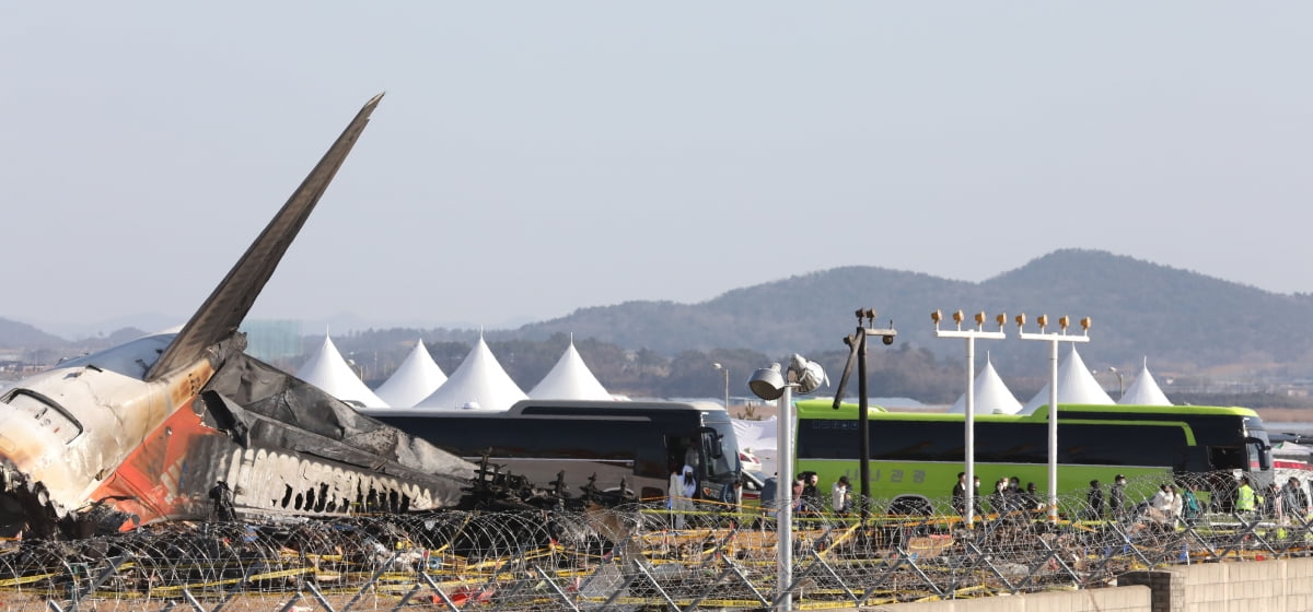 1일 오전 전남 무안공항 활주로에 유족들이 참사 현장을 둘러보며 희생자들의 넋을 기리고 있다. /사진=뉴스1