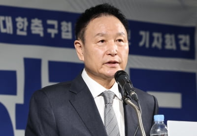 [속보] 축구협회장 선거 급제동…법원, 허정무가 낸 가처분 인용