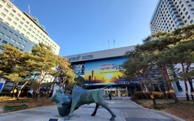 카지노 꽁머니 즉시지급 "상장폐지 기업 5곳 중 1곳 결산 관련…시장참가자 유의" 당부