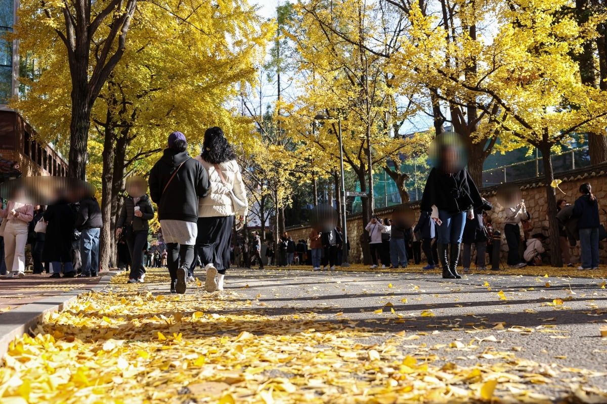 서울 중구 정동길 일대에서 시민들이 떨어진 낙엽을 밟으며 이동하고 있다. 사진=임형택기자